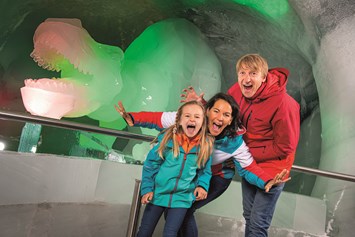 Ausflugsziel: Erlebe eine Zeitreise durch die Geschichte im Dachstein Eispalast. - Dachstein Seilbahn & Gletscher