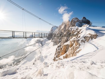 Dachstein Seilbahn & Gletscher Highlights beim Ausflugsziel Hängebrücke
