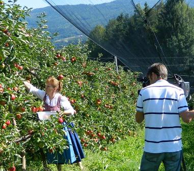 Ausflugsziel: Haus des Apfels