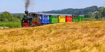 Ausflug mit Kindern - Themenschwerpunkt: Abenteuer - Süd & West Steiermark - "Stainzer Flascherlzug" 