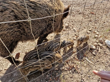 Ausflugsziel: Wildpark Poing