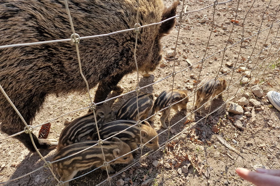 Ausflugsziel: Wildpark Poing