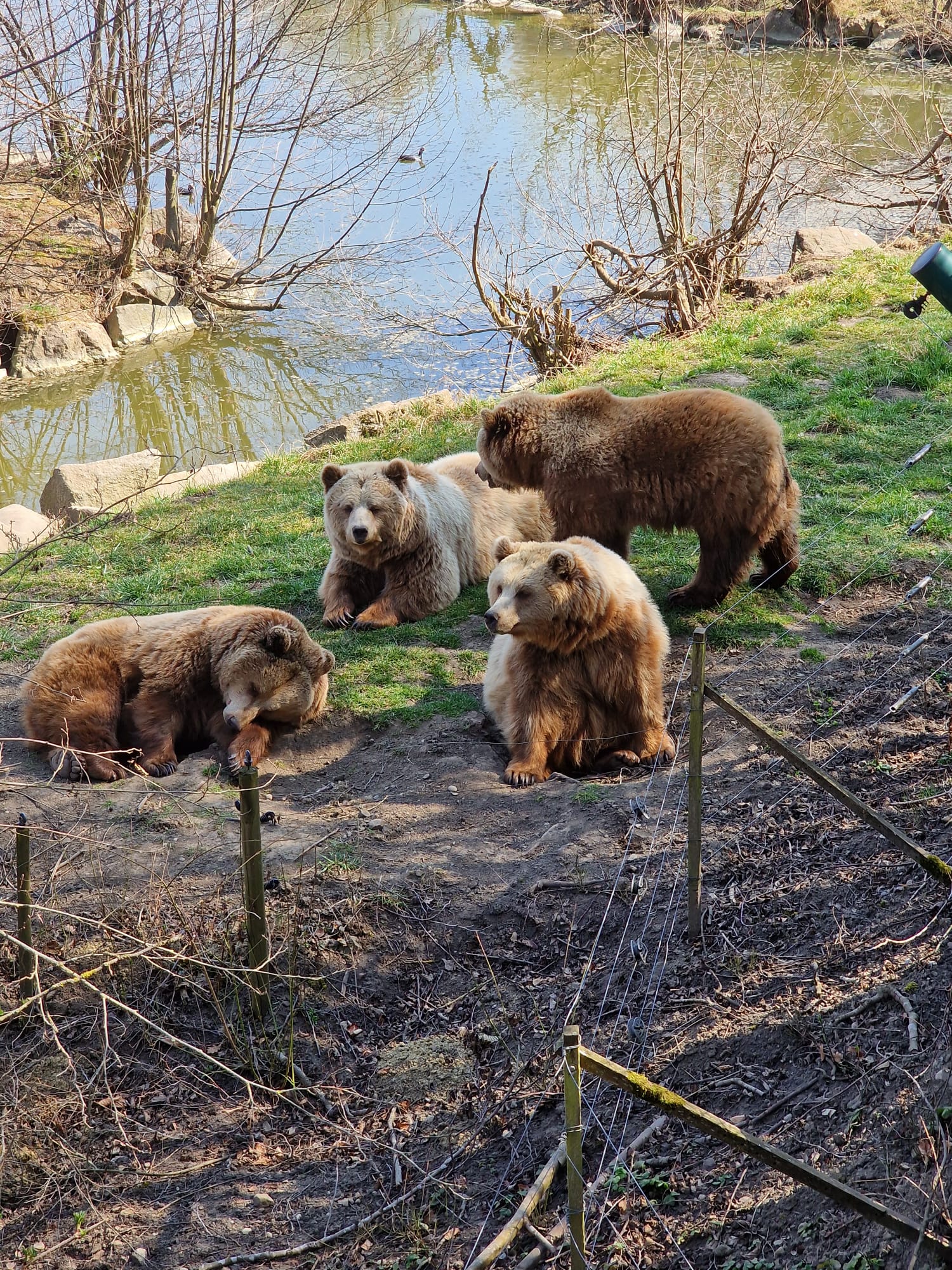 Trip with children - Alter der Kinder: 2 bis 4 Jahre - Germering - Wildpark Poing