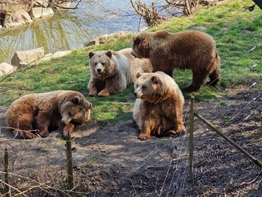 Ausflugsziel: Wildpark Poing