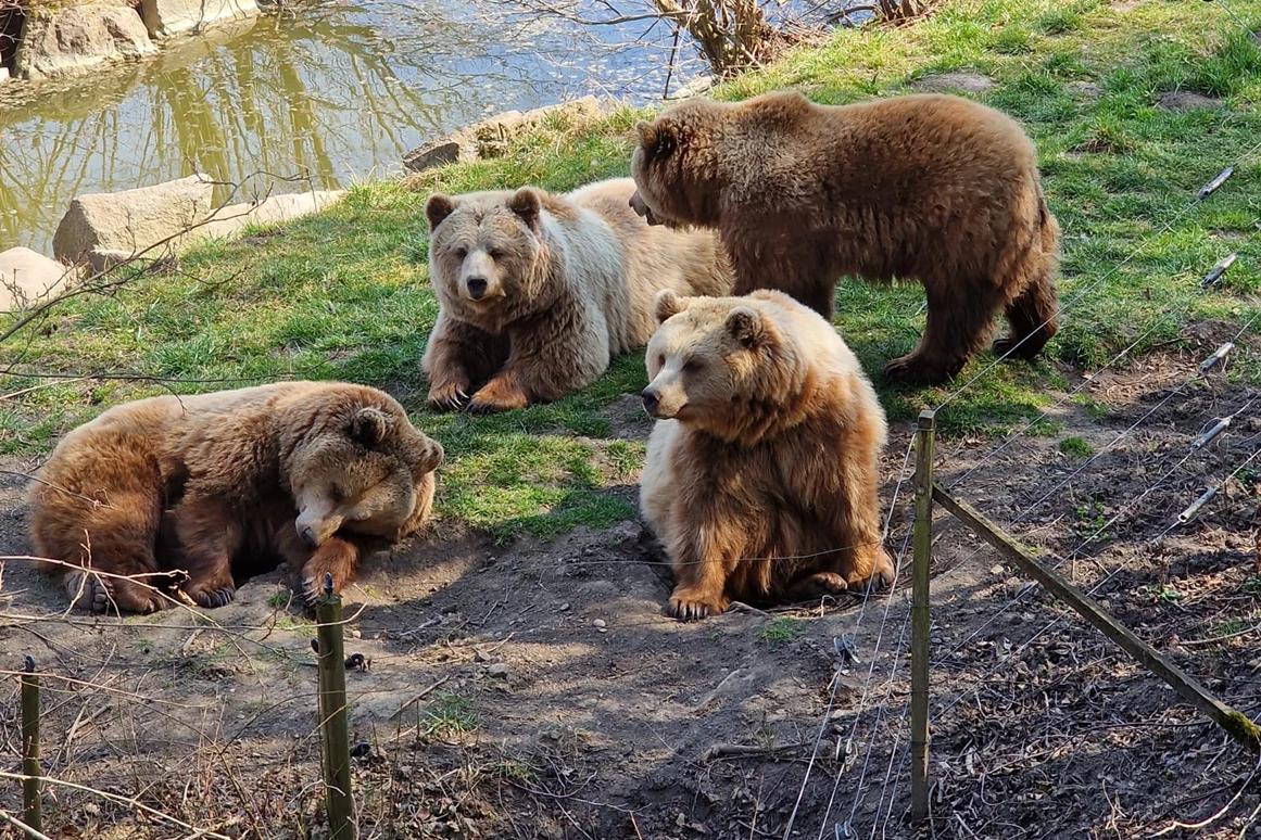 Ausflugsziel: Wildpark Poing