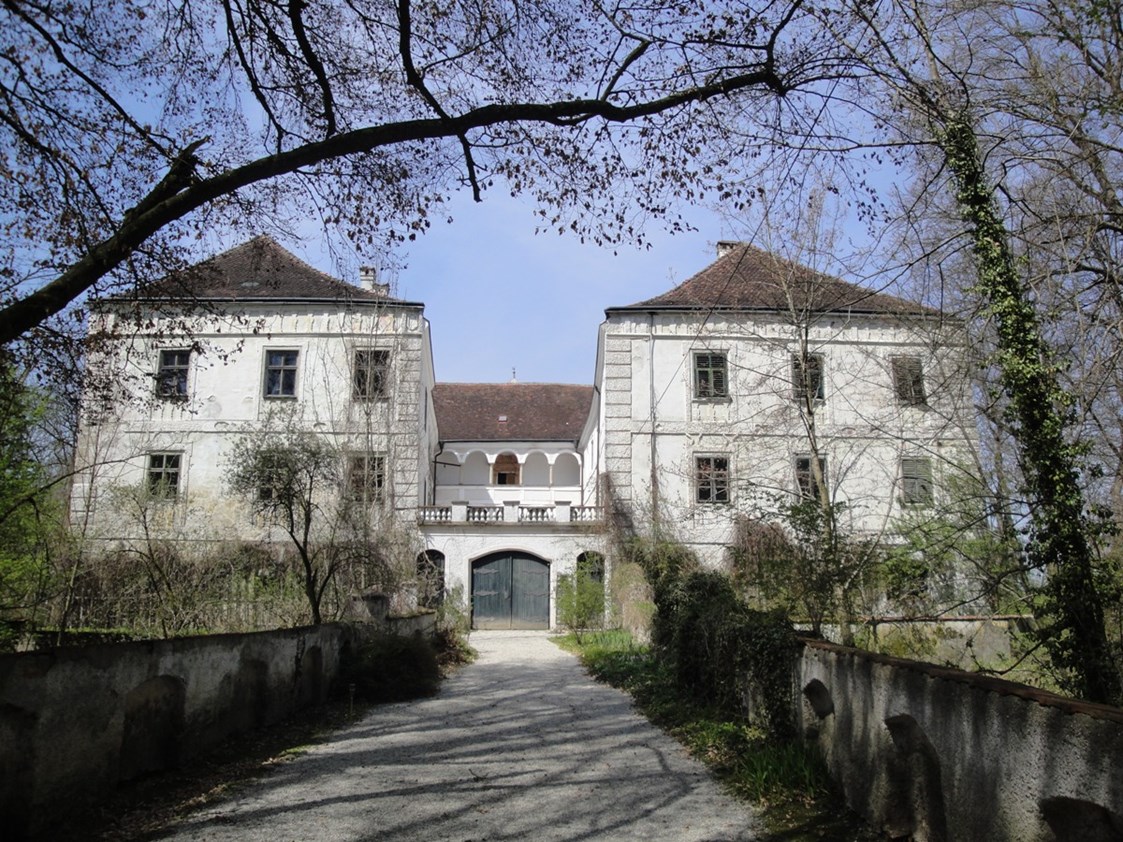 Ausflugsziel: Schloss  - Schloss Katzenberg