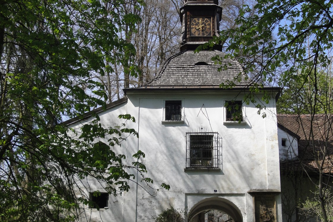 Ausflugsziel: Torturm - Schloss Katzenberg