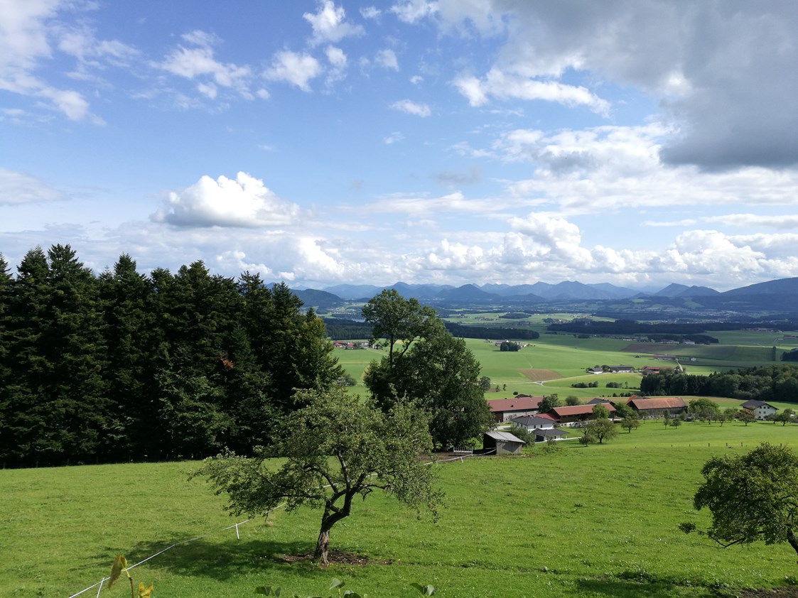 Ausflugsziel: Buchberg Wanderung