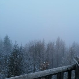 Ausflugsziel: Buchbergplateau im Winter  - Buchberg Wanderung