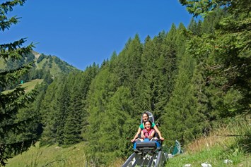 Ausflugsziel: Erlebnisbahn Alpine Coaster