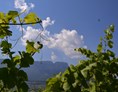 Ausflugsziel: Natur- und Weinlehrpfad Girlan