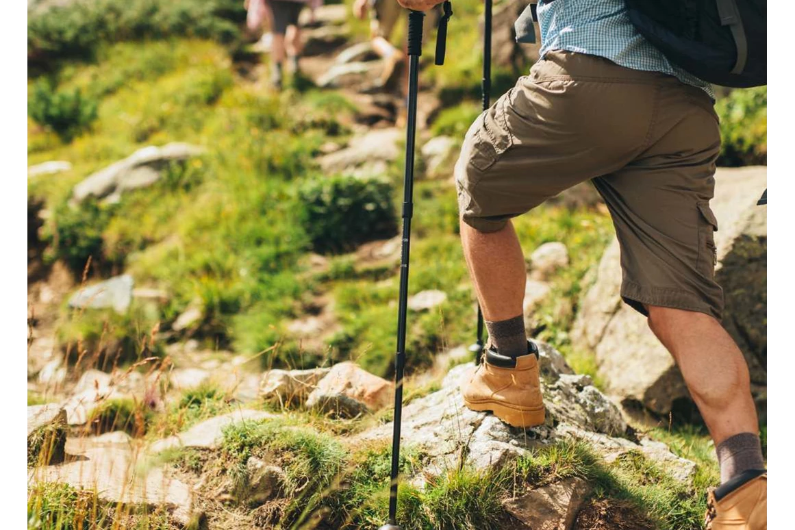 Ausflugsziel: Symbolbild für Ausflugsziel Wandern am Latschanderwaal (Trentino-Südtirol). - Wandern am Latschanderwaal