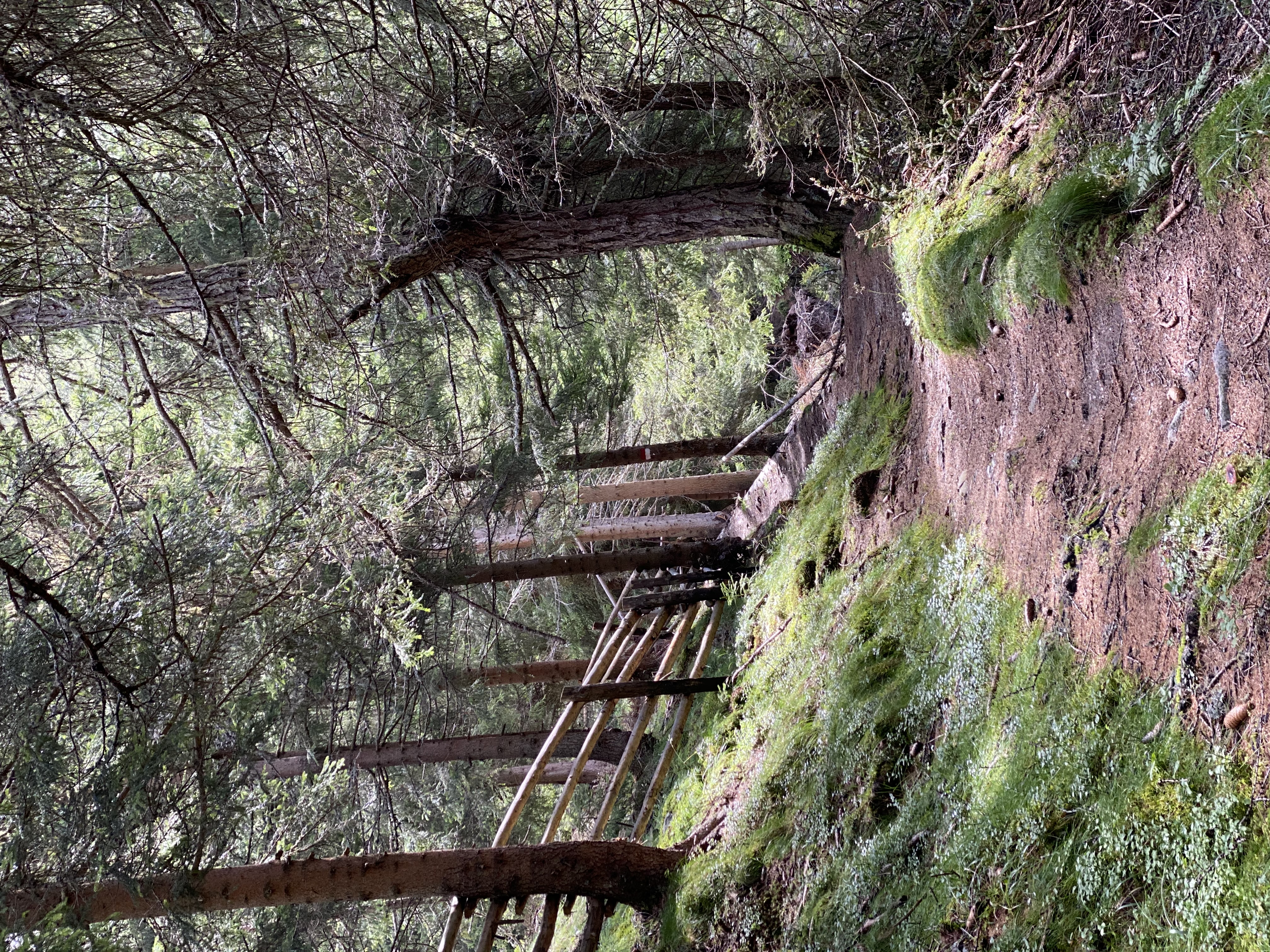 Ausflugsziel: Sagenhafte Familienwanderung über die Lüsner Alm