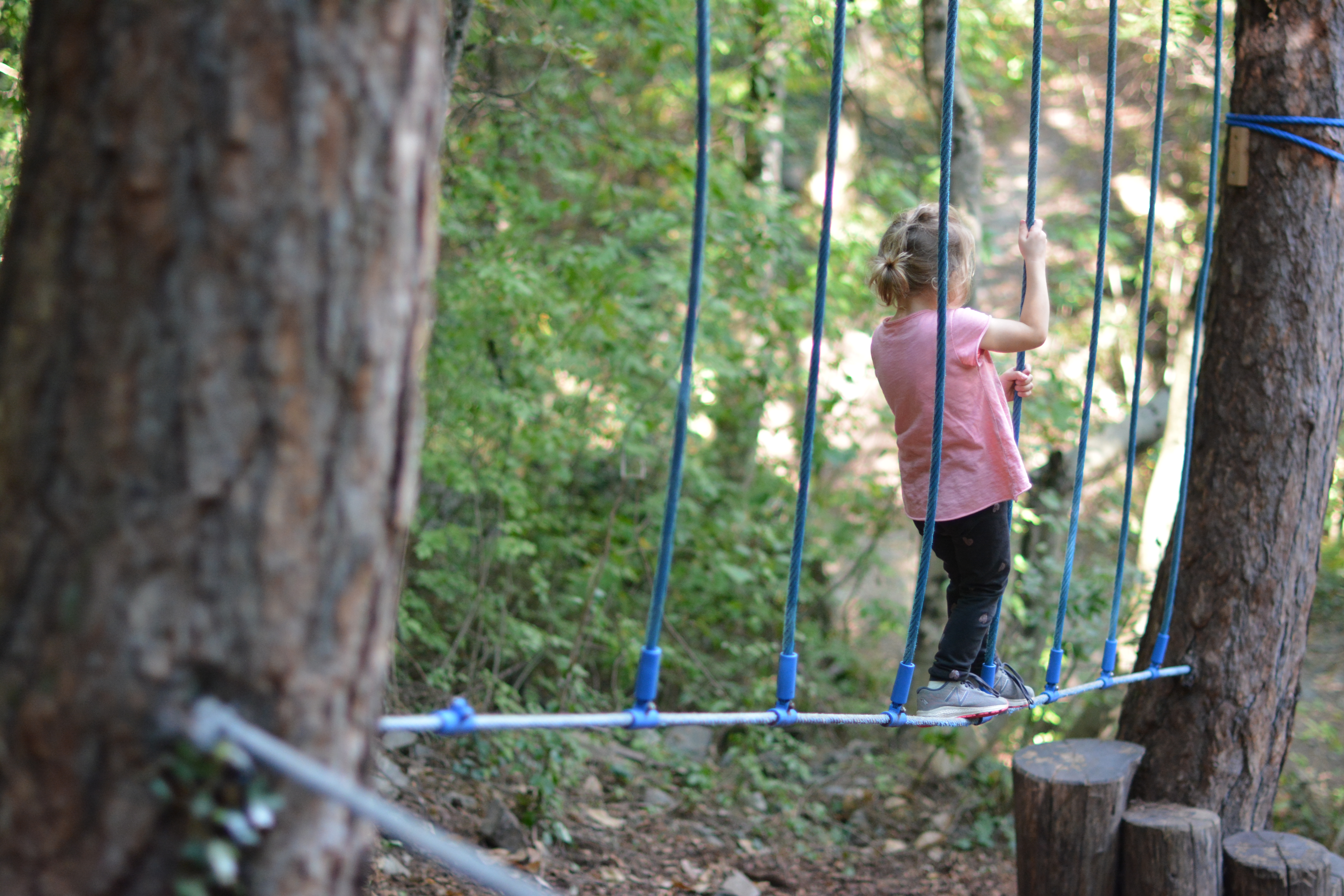 Ausflugsziel: Eichhörnchenweg
