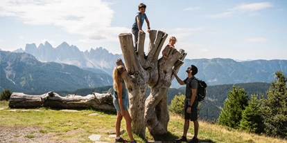 Trip with children - San Martin Dolomites - WoodyWalk