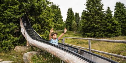 Trip with children - San Martin Dolomites - WoodyWalk