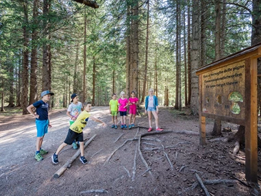 Ausflugsziel: Naturerlebnisweg PanaRaida in Gröden/Val Gardena