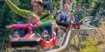 Trip with children - San Martin Dolomites - Alpine Caoster "Klausberg-Flitzer" - Alpine Coaster "Klausberg-Flitzer"