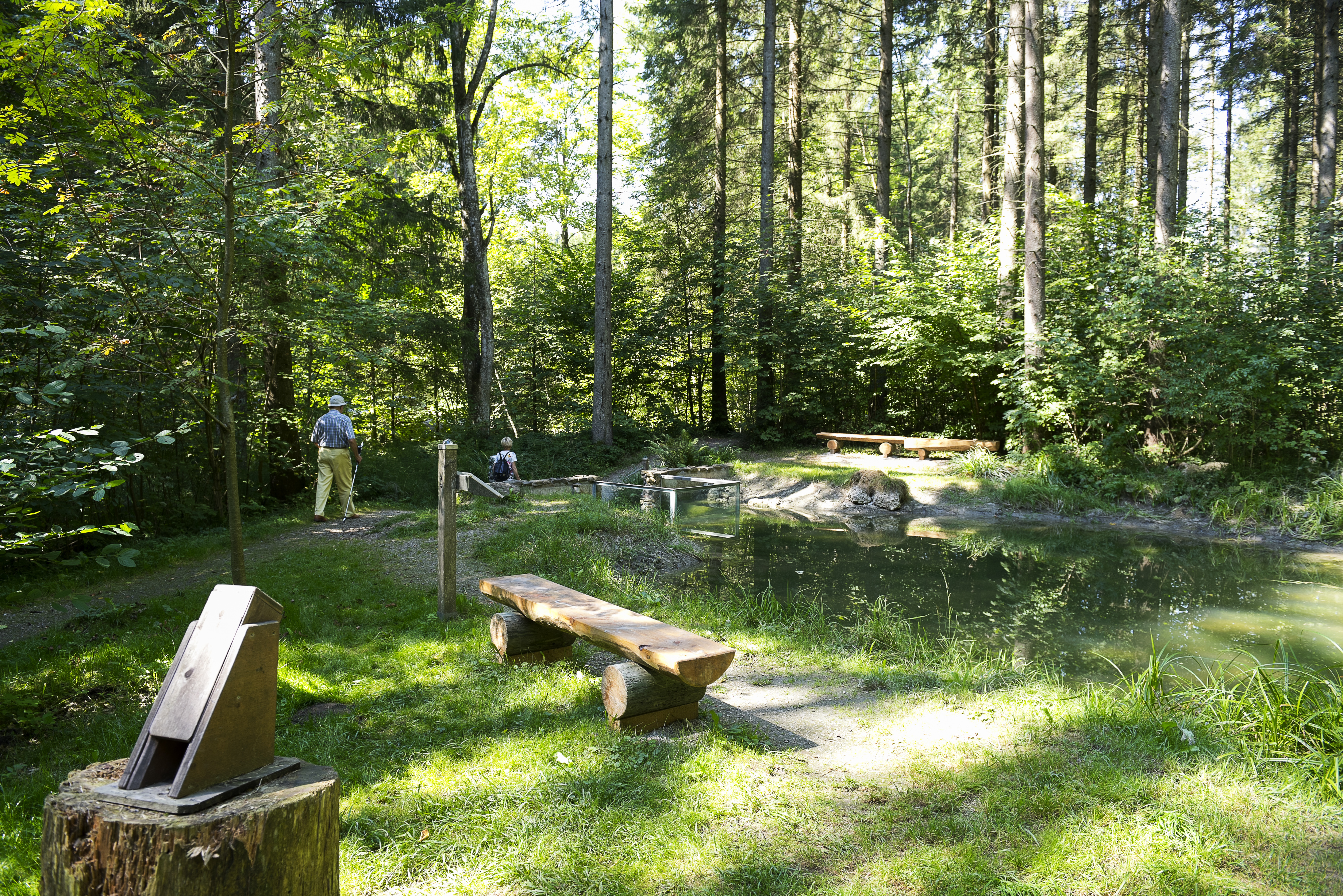 Ausflugsziel: Kelten.Baum.Weg