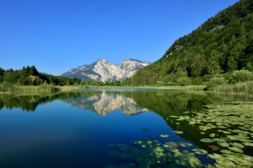 Ausflugsziel: Der Fennberger See im Sommer - Fennberger (Fenner) See