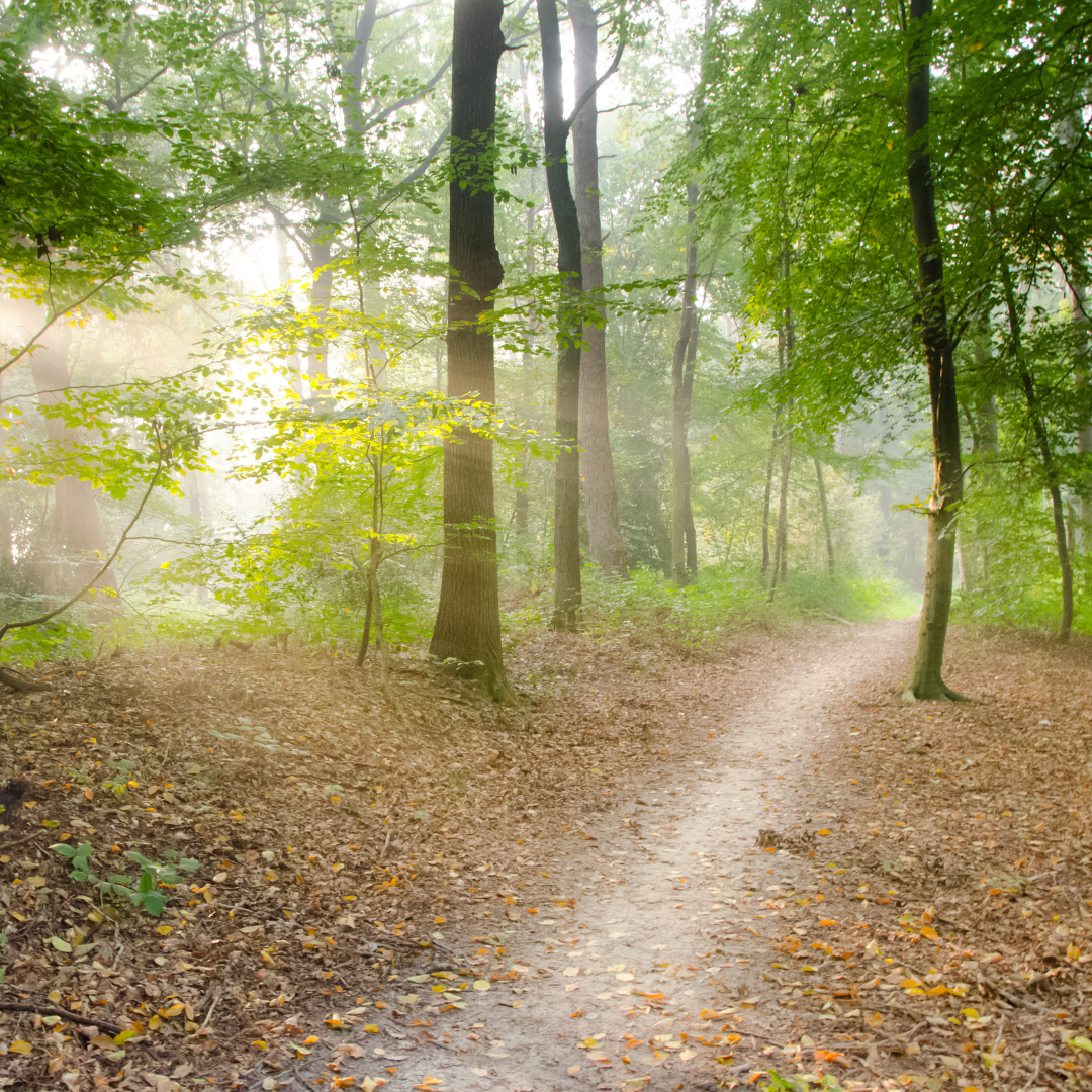 Trip with children - Ausflugsziel ist: eine Wanderung - Bozen - Von Laag bis Bucholz auf dem Dürerweg
