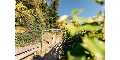 Trip with children - Kastelruth - Herbstwanderung mit der ganzen Familie über den ebenen und kinderwagentauglichen Algunder Waalweg. - Wanderung am Algunder Waalweg