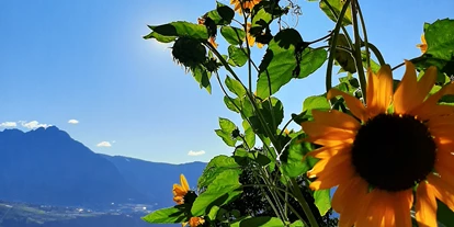 Trip with children - Kastelruth - Der Algunder Waalweg in Algund bei Meran. - Wanderung am Algunder Waalweg