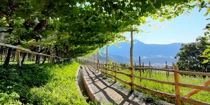 Trip with children - Kastelruth - Der Algunder Waalweg in Algund bei Meran. - Wanderung am Algunder Waalweg