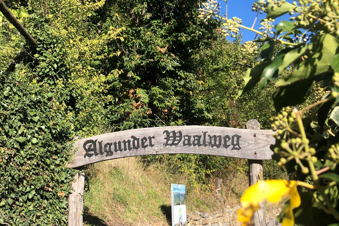 Ausflugsziel: Der Algunder Waalweg in Algund bei Meran. - Wanderung am Algunder Waalweg