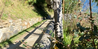 Trip with children - Kastelruth - Der Algunder Waalweg in Algund bei Meran. - Wanderung am Algunder Waalweg