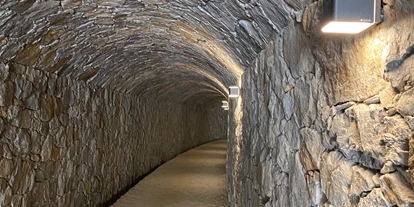 Trip with children - Kastelruth - Der Algunder Waalweg in Algund bei Meran. - Wanderung am Algunder Waalweg