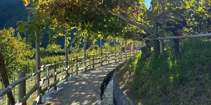 Trip with children - Kastelruth - Der Algunder Waalweg in Algund bei Meran. - Wanderung am Algunder Waalweg