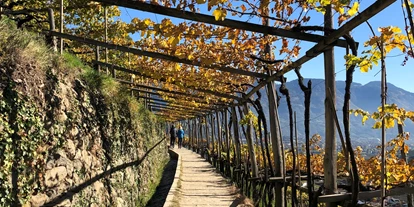 Trip with children - Kastelruth - Der schöne Algunder Waalweg in Algund bei Meran. - Wanderung am Algunder Waalweg