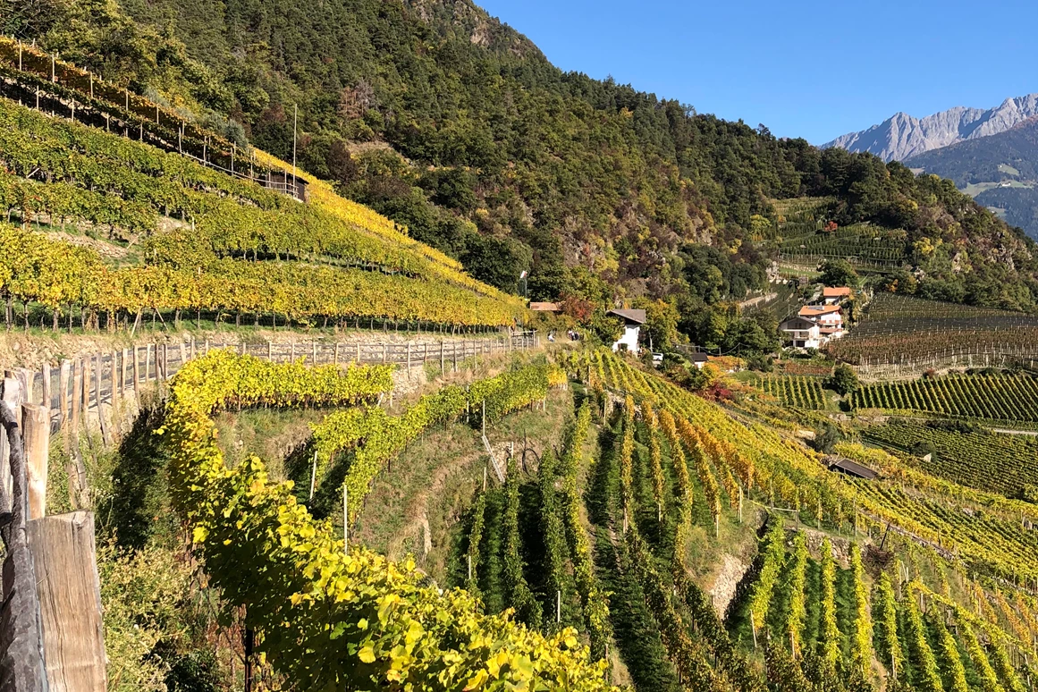 Ausflugsziel: Aussicht vom Algunder Waalweg in Algund bei Meran. - Wanderung am Algunder Waalweg