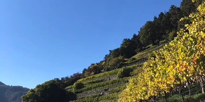 Trip with children - Kastelruth - Der herbstliche Algunder Waalweg in Algund bei Meran. - Wanderung am Algunder Waalweg