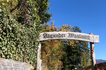 Ausflugsziel: Der ebene Algunder Waalweg in Algund bei Meran. - Wanderung am Algunder Waalweg