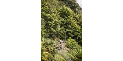 Trip with children - Kastelruth - Zwischen Apfelwiesen, Reben, Wald und Palmen wandern und die atemberaubende Aussicht vom Algunder Waalweg auf Algund und Meran genießen. - Wanderung am Algunder Waalweg
