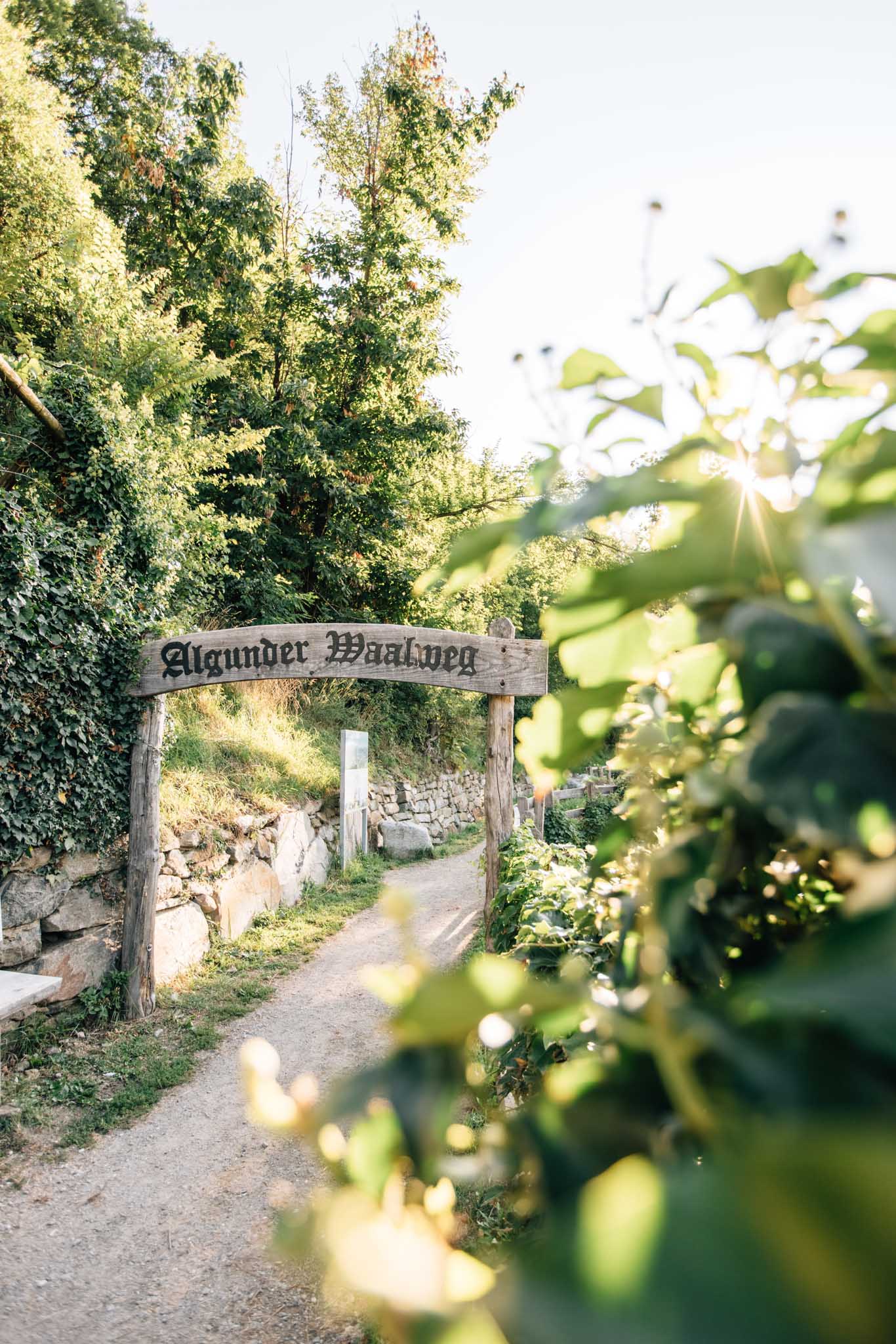 Ausflugsziel: Wanderung am Algunder Waalweg