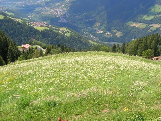 Ausflugsziel: Wanderung Meraner Waalrunde