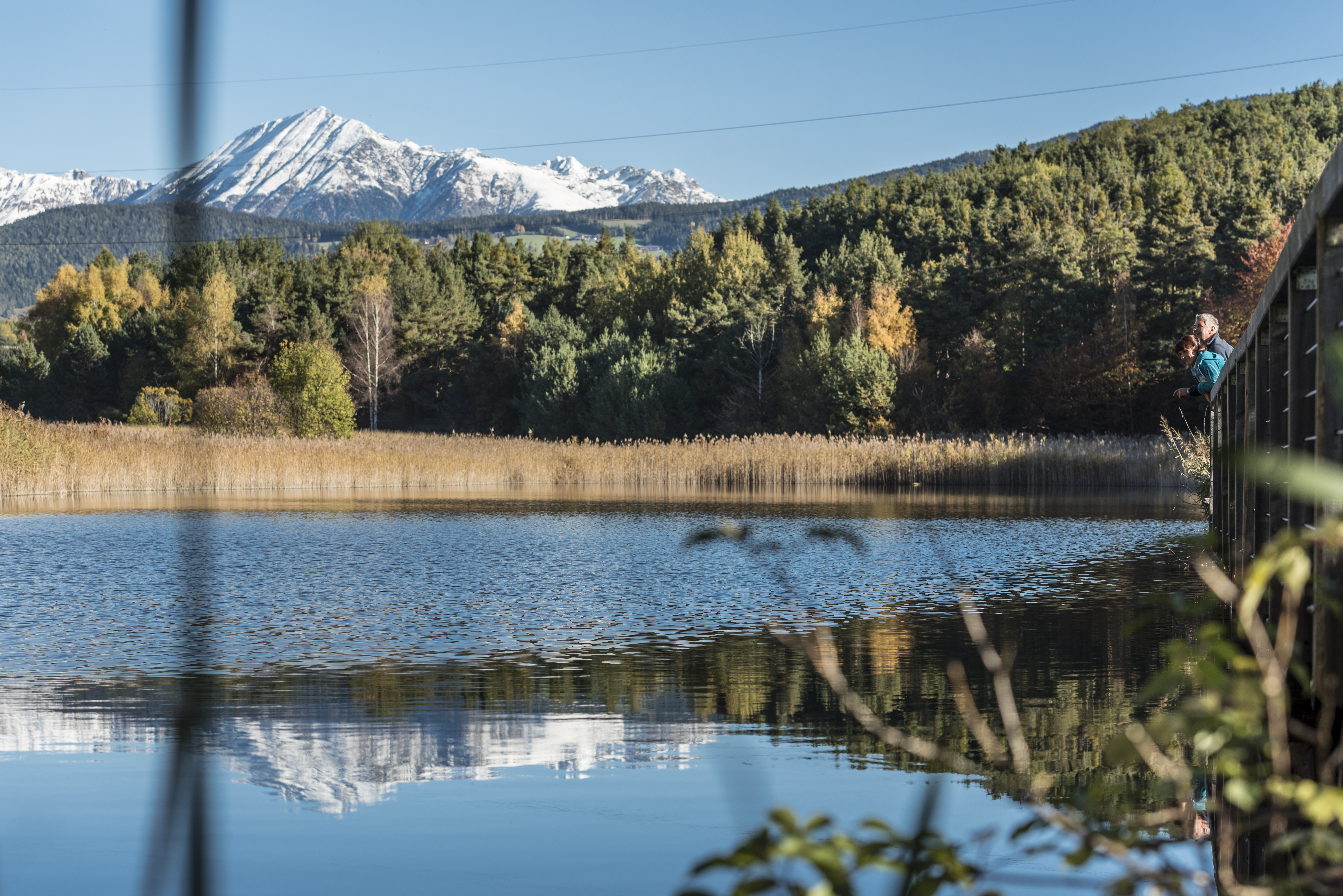 Reis met kinderen - Ausflugsziel ist: eine Wanderung - Bozen - Naturlehrpfad Raiermoos