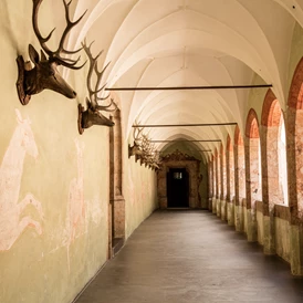 Ausflugsziel: Arkaden - Schloss Tratzberg