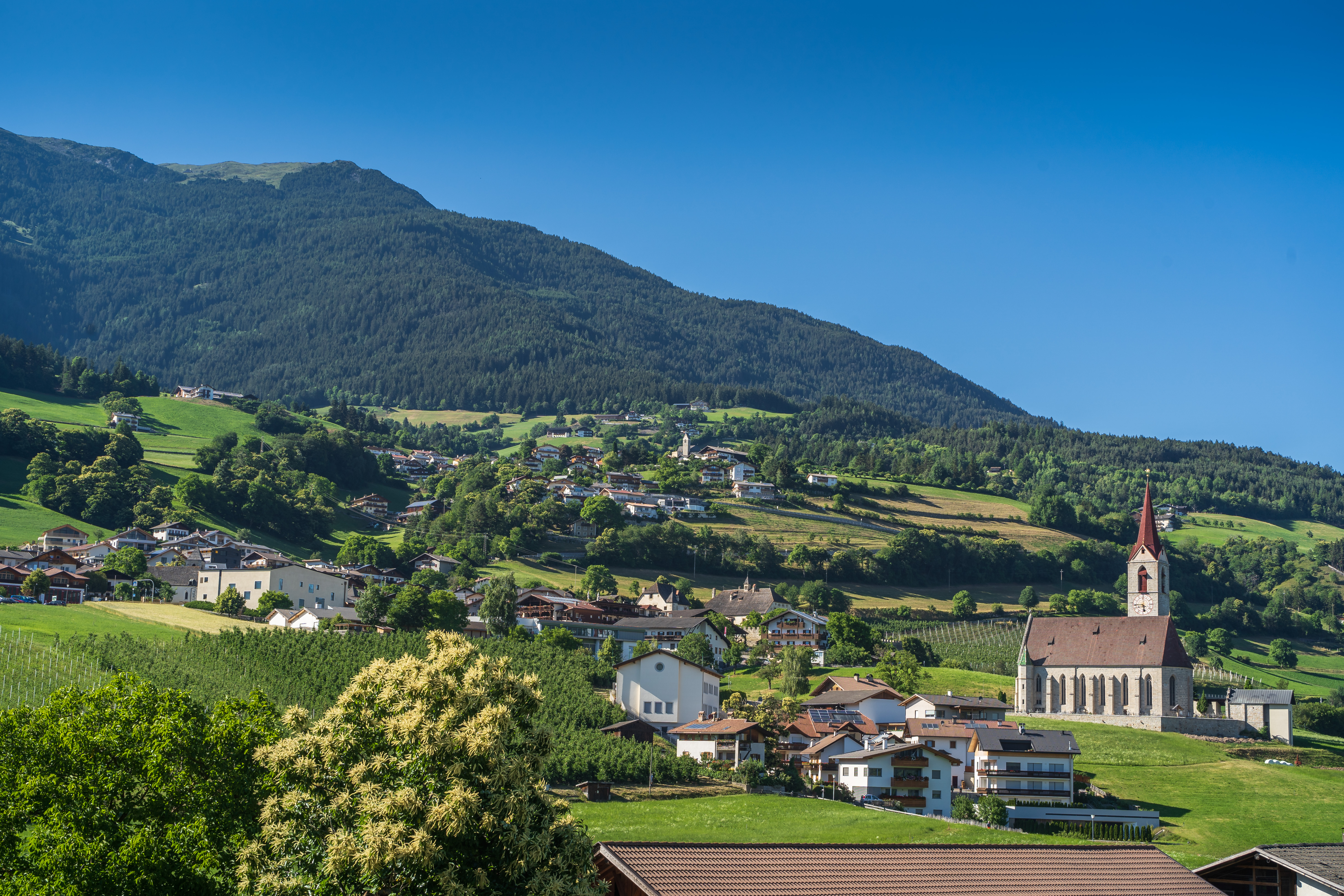 Trip with children - Ausflugsziel ist: eine Wanderung - Bozen - Panoramaweg in Feldthurns