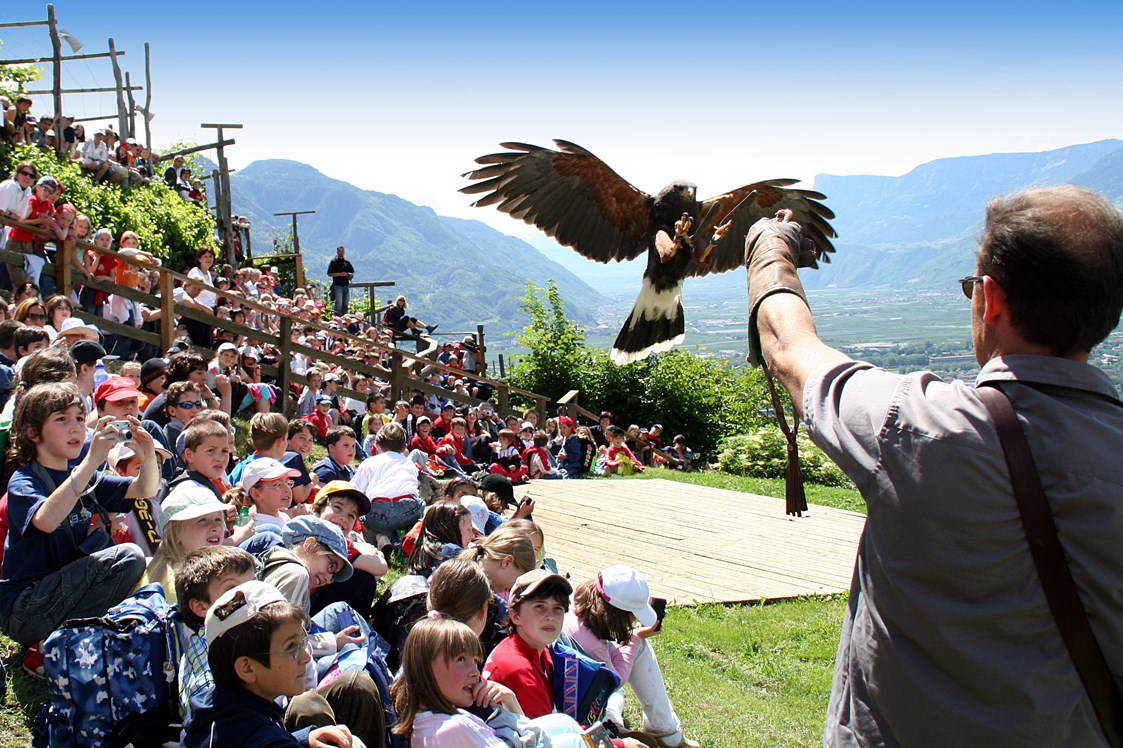 Ausflugsziel: Pflegezentrum für Vogelfauna Schloss Tirol