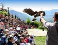 Ausflugsziel: Pflegezentrum für Vogelfauna Schloss Tirol