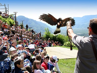 Ausflugsziel: Pflegezentrum für Vogelfauna Schloss Tirol