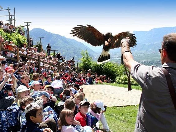 Ausflugsziel: Pflegezentrum für Vogelfauna Schloss Tirol