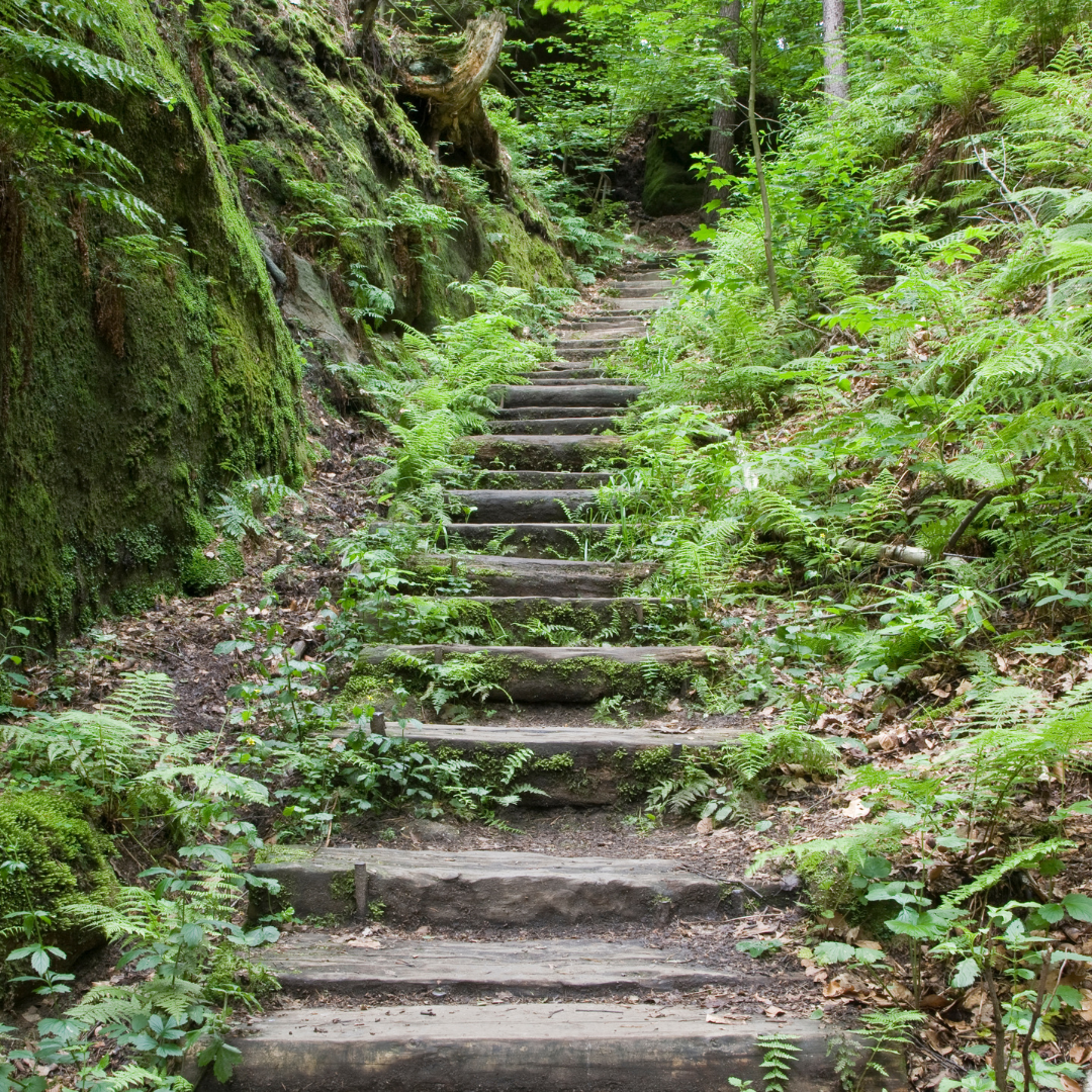 Reis met kinderen - Schluderns - Symbolbild für Ausflugsziel Naturerlebnispfad Prader Sand. Keine korrekte oder ähnlich Darstellung! - Naturerlebnispfad Prader Sand