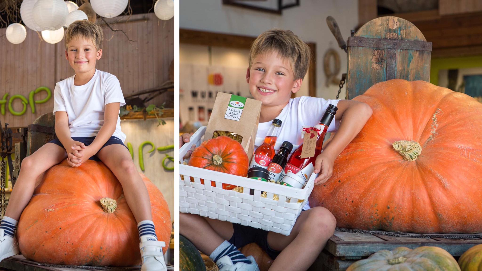 Ausflugsziel: Heidelbeeren pflücken in Bodensdorf bei Wieselburg