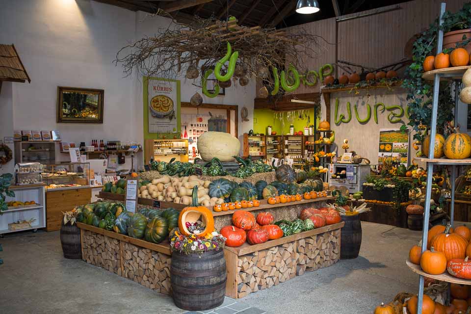 Ausflugsziel: Heidelbeeren pflücken in Bodensdorf bei Wieselburg