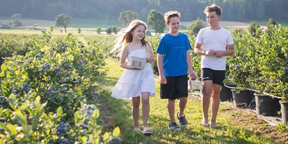 Ausflug mit Kindern - Mitterbach-Seerotte - Heidelbeeren pflücken in Bodensdorf bei Wieselburg